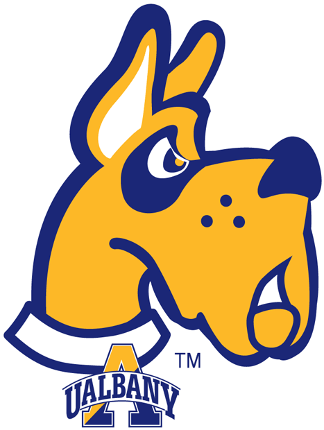 Albany Great Danes 2004-Pres Alternate Logo v2 iron on transfers for T-shirts